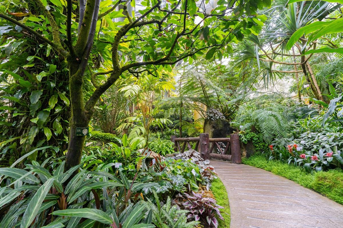 Forsgate Conservatory