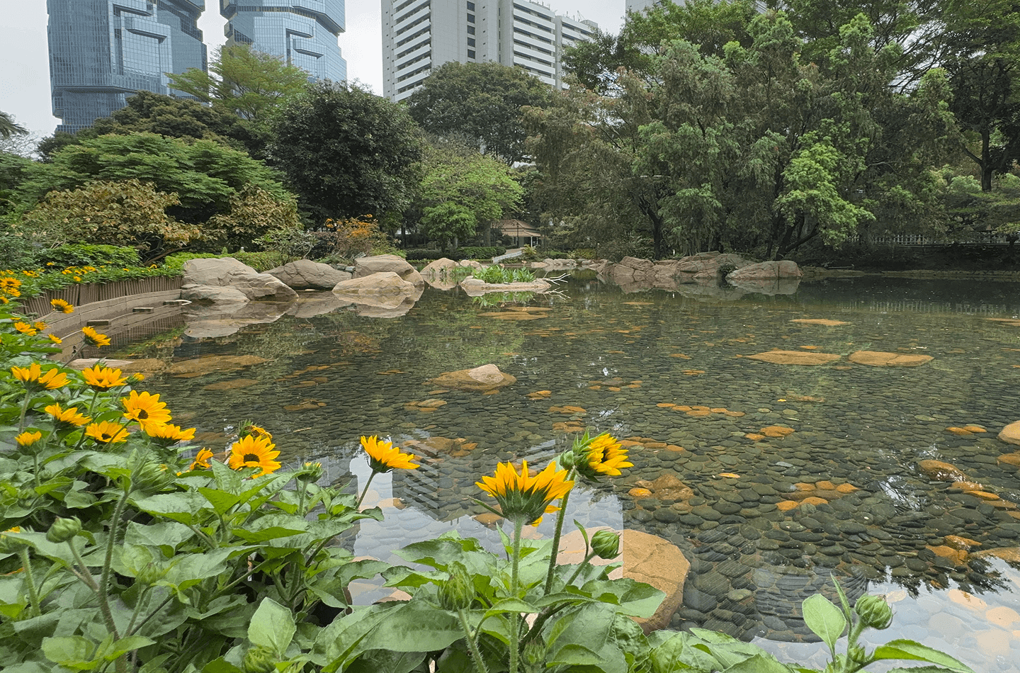 Feature photos – desktop artificial lake