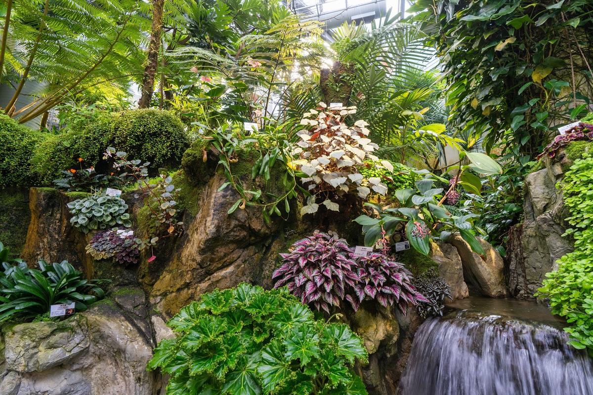 熱帶植物展覽館