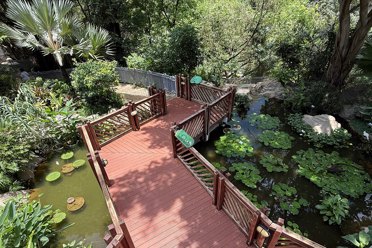 蜻蜓自然保育園地